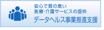 データヘルス事業推進支援