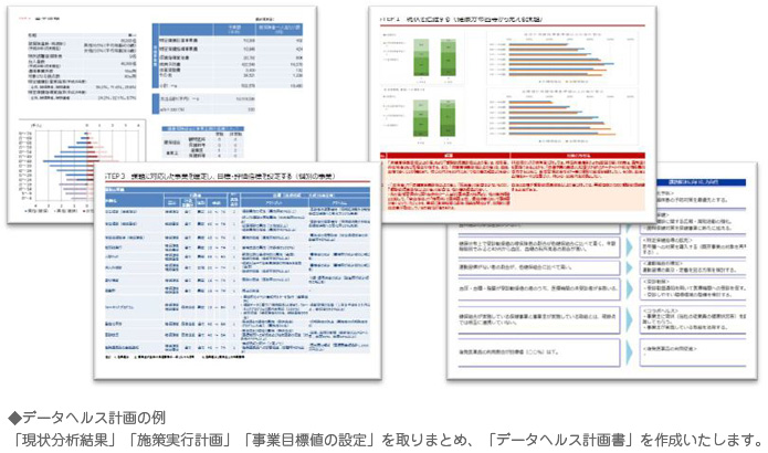 データヘルス計画の例